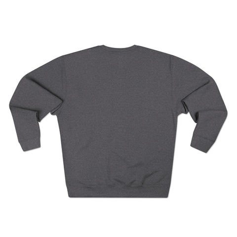 Charleston 02 crewneck sweatshirt from Big Little Cities