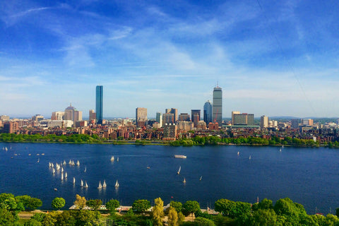 Best Coffee Shops In Boston