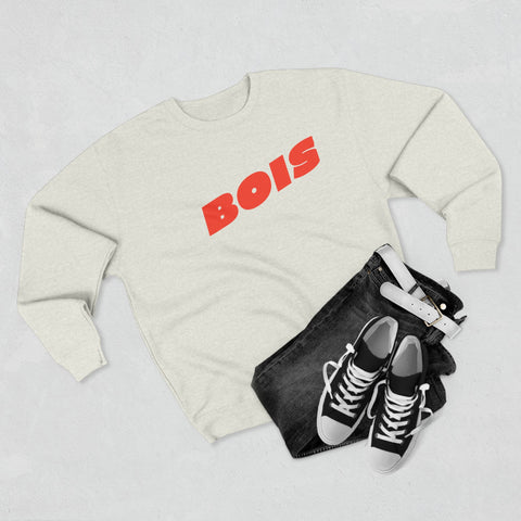 Boise 02 crewneck sweatshirt from Big Little Cities